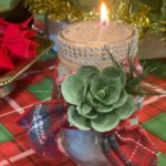 succulent winter candle