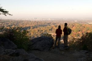 Best Things To Do When Youre Bored in Birmingham Ruffner Mountain