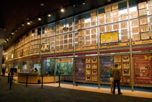 butterfly wall museum exhibit