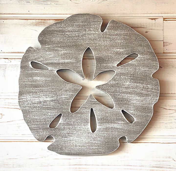 Sand Dollar