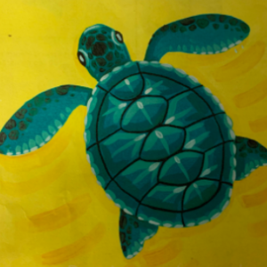 sea turtle canvas
