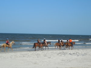 horseback riding on beach