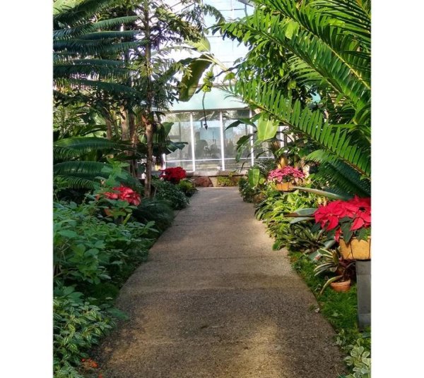 Date Night Ideas in Ann Arbor Pinspiration