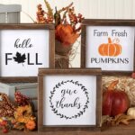 sm fall