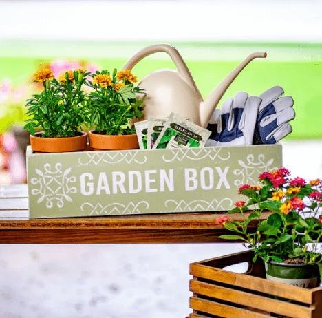 Container Box Garden