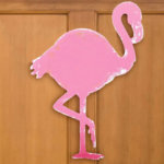 flamingo 1