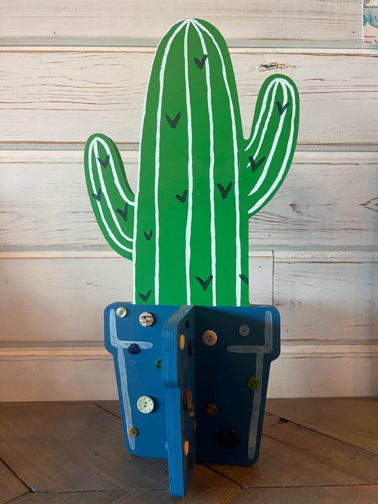 Slotted Cactus 1
